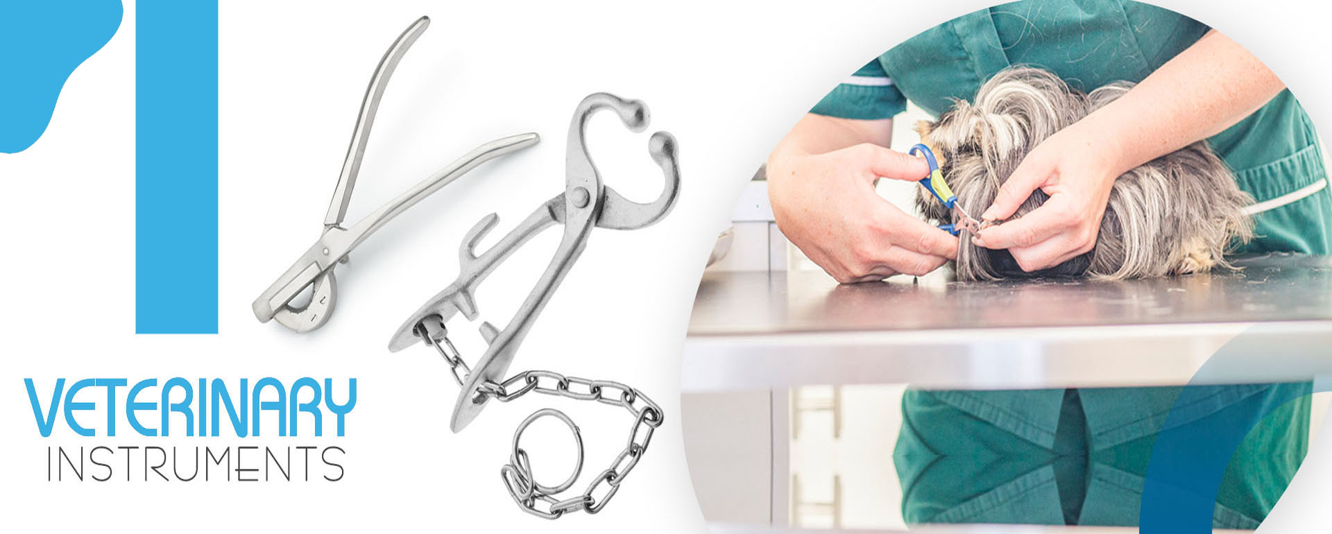 Veterinary Instruments